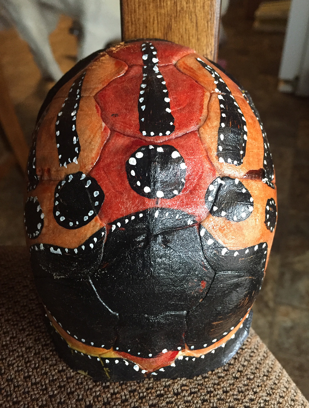 Painted Bear Claw Turtle Shell